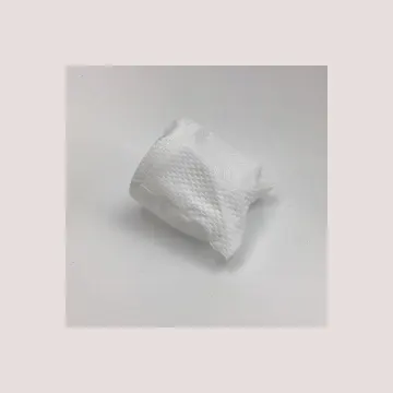 Filter pre vysávač PHILIPS 996510057121 SAECO Originál
